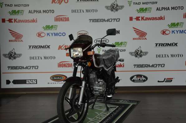 Motocicleta Wolf Motors 125-3V