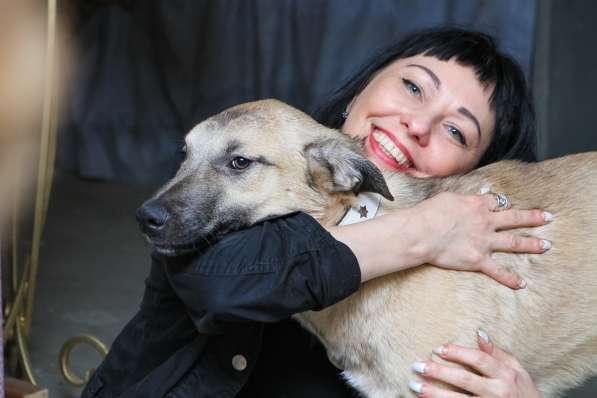 Милая домашняя собака-обнимака, 7 месяцев в Санкт-Петербурге фото 6