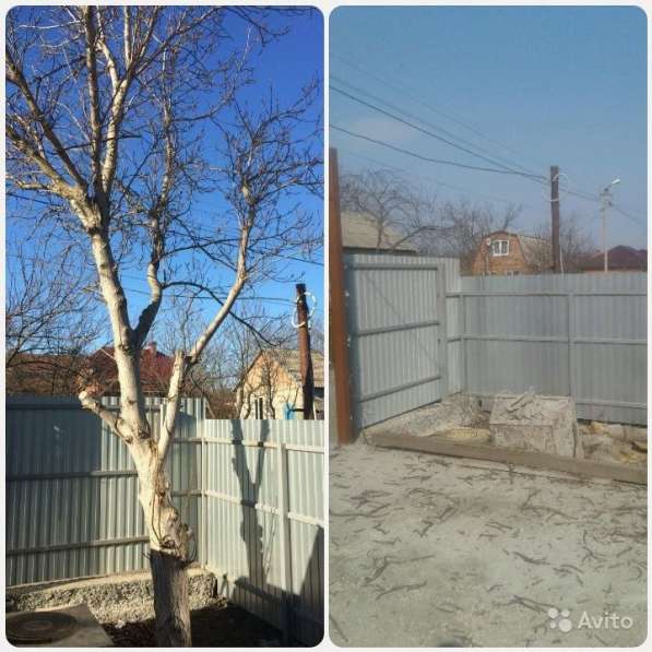 Спил Деревьев/Обрезка Веток/Уборка Участков в Ростове-на-Дону фото 8