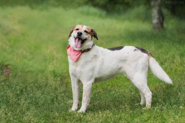 Улыбчивый лучик Фаина ищет семью в Москве фото 17