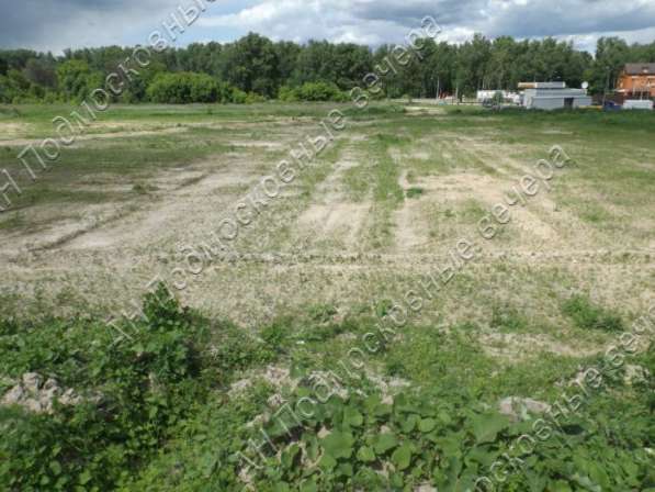 realty_mapper3.plot_in_locationСадовое некоммерческое тов-во. Площадь 650.00 сот.Есть Электричество. в Ногинске фото 12