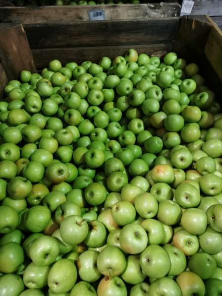 Яблоки Гренни Смит в Краснодаре