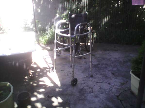 Хадунок американский и инвалидная коляска в фото 4