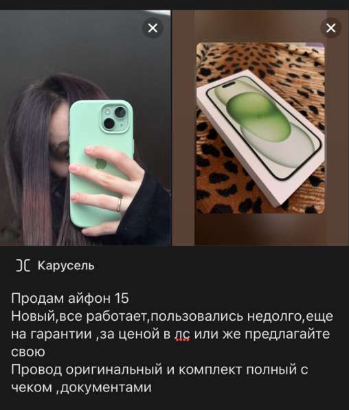 Apple 15