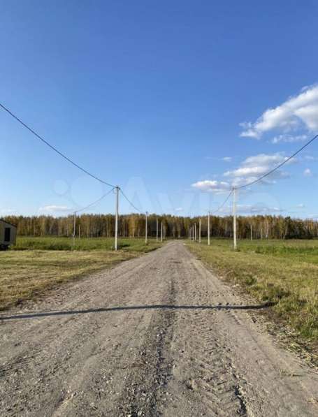 Продам участок, отличное расположение и красивая природа в Тюмени фото 16