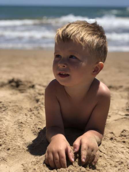 Maine Coon в фото 12