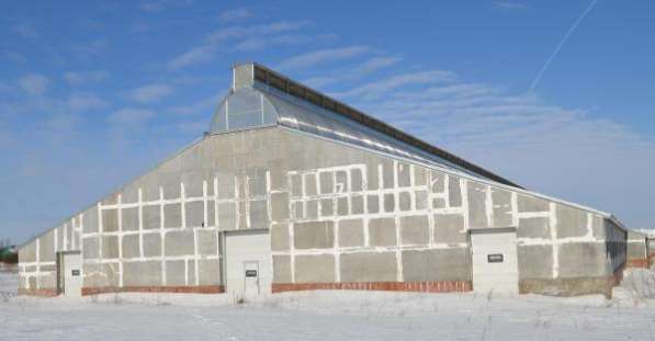 Аренда производственное помещение в Санкт-Петербурге фото 7