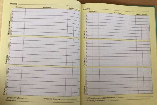 Дневник школьный (1-4 класс) в Йошкар-Оле фото 7