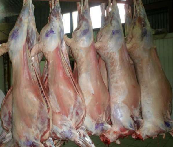 Мясо баранины оптом прямо от производителя с отличной ценой… в Новосибирске