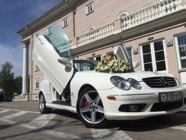 Кабриолет Mercedes CLK500 AMG Lambo Doors на свадьбу в Санкт-Петербурге фото 6