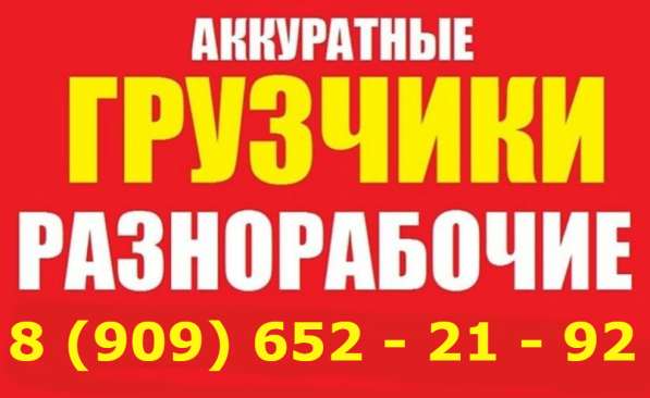 Переезд. Грузчики. Разнорабочие. Погрузка - Разгрузка в Шатуре фото 4