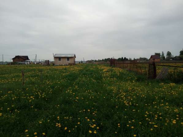 Продам землю в д. Кукарино Можайского района в Можайске фото 4