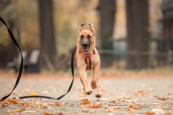 Чудесная Бриа ищет семью в Москве фото 28