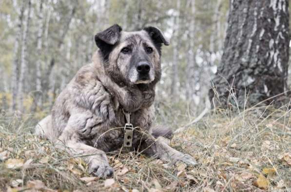 Тео надеется на чудо