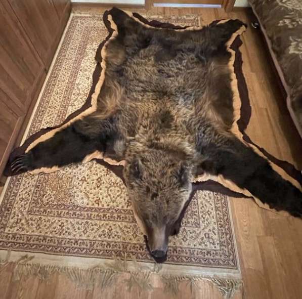 Шкура медведя, чучело в Москве
