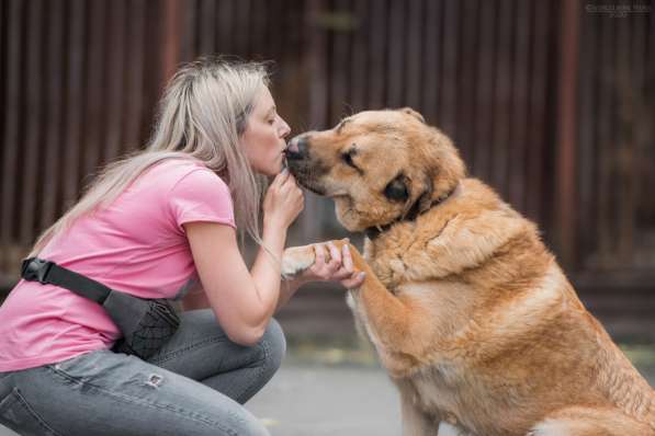 Кохинор ищет семью в Москве фото 39