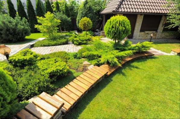 Обрезка деревьев. Уход и лечение вашего сада в Краснодаре фото 10
