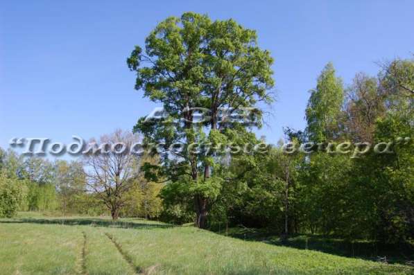 realty_mapper3.plot_in_locationСадовое некоммерческое тов-во. Площадь 20.00 сот.Есть Электричество. в Москве фото 27