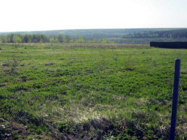Продается земельный участок 12 соток СНТ "Сокольниково" (пос. Сокольниково)Можайский район, 109 км от МКАД по Минскому шоссе. в Можайске фото 3