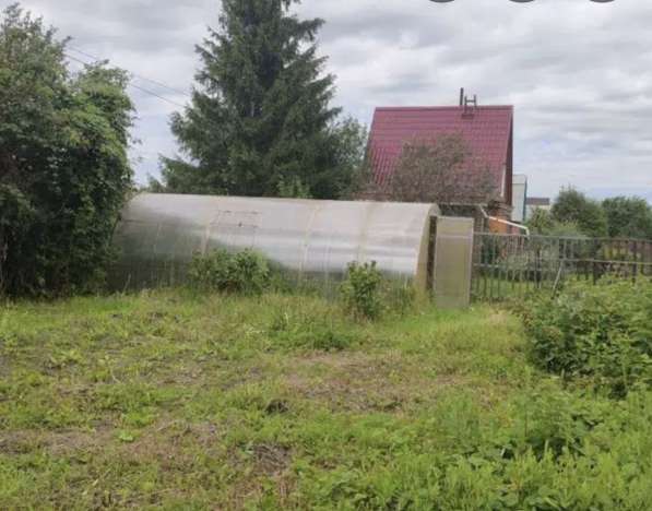 Дача СНТ ФИАЛКА в Омске фото 5