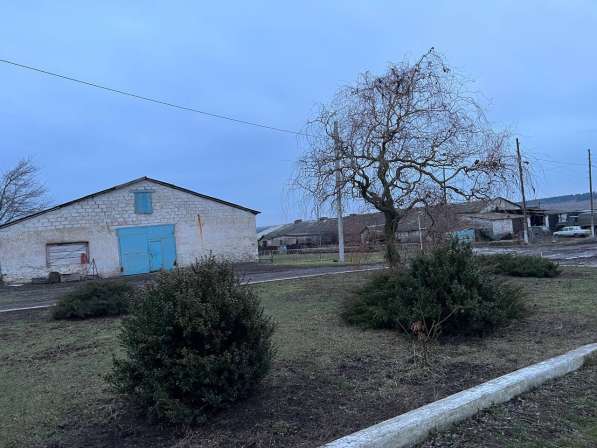 Агроферма 4500 м. кв, Старобешево в фото 3