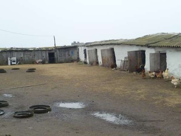 Срочная продажа домовладения в деревне в Каменск-Шахтинском фото 7