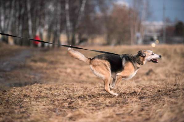 Молодой энергичный Майор ищет семью в Москве фото 51