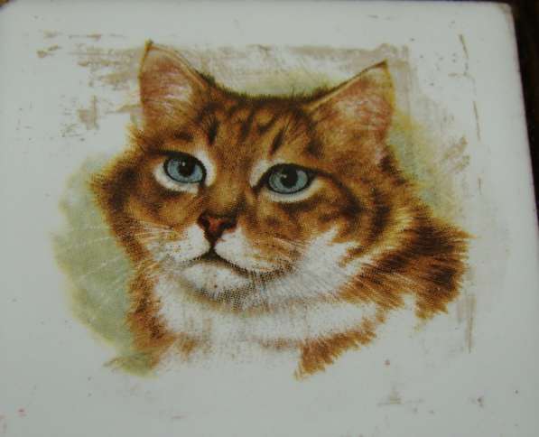 Плакетки Кошки (W948) в Москве фото 5