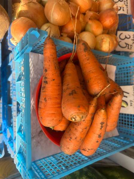 Картофель лук морковь с бесплатной доставкой в Воронеже фото 4