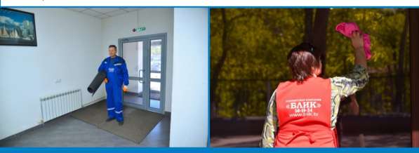 Химчистка ковров и мягкой мебели в 