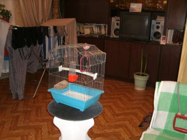 Клетка для небольших птиц в Москве фото 5