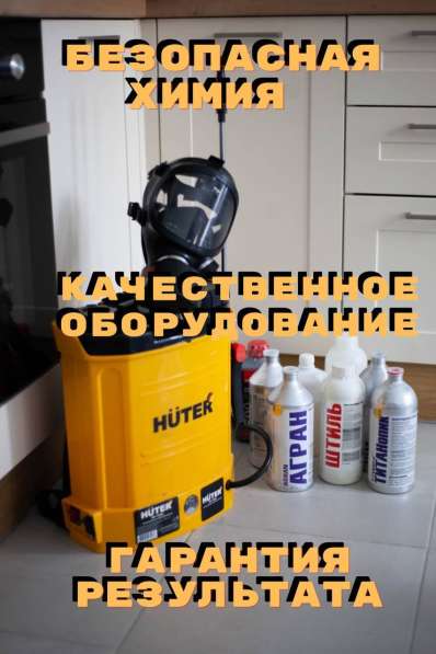 Уничтожение тараканов, клопов, грызунов, устранение плесени в Москве фото 3