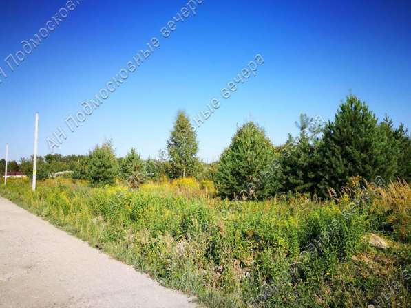 realty_mapper3.plot_in_locationИндивидуальное жилищное ст-во. Площадь 16.00 сот.Есть Электричество. в Москве фото 7