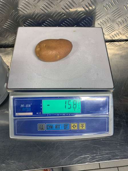 Картофель от 100 кг в Приморско-Ахтарске фото 3