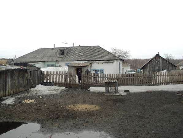 Продам квартиру на земле в Алтайском крае