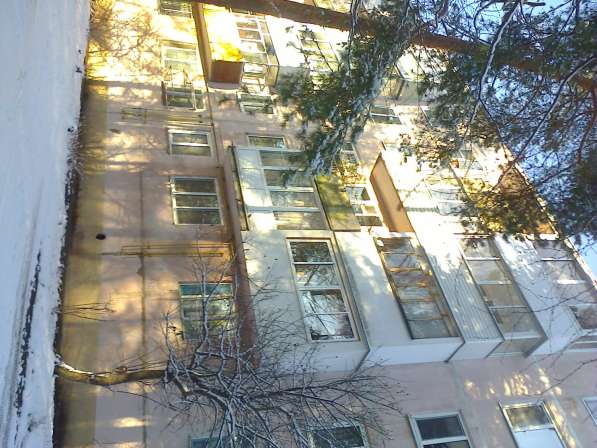 Уютная квартира в сосновом лесу в Конаково фото 9