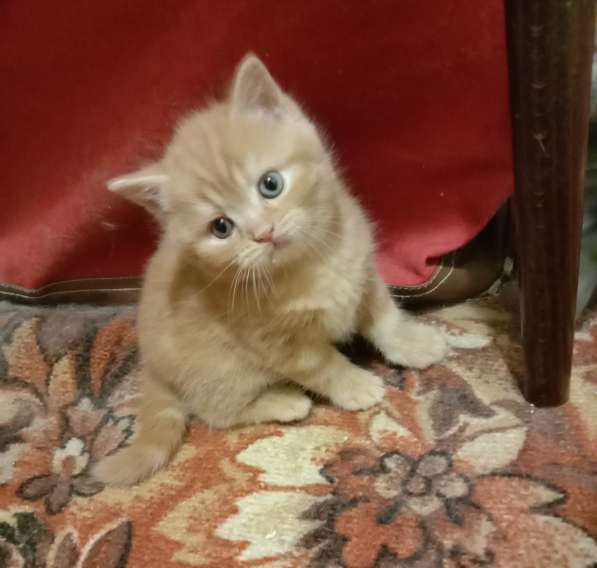 Мы здесь посмотрите в Краснодаре фото 7