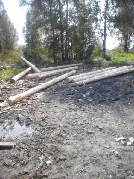 Деревянные опоры (Столбы)для Лэп в Новокузнецке