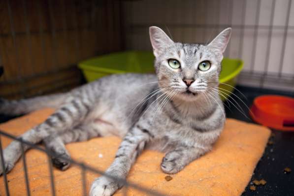 Стильная Диор мечтает о семье