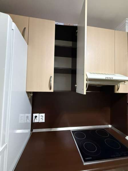 Кухня с бытовой техникой в Мурманске фото 4