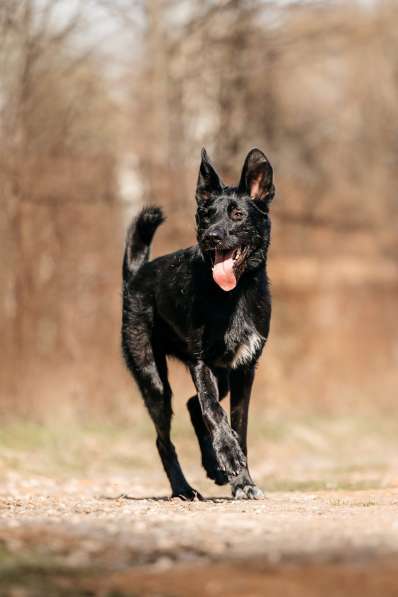Заберите меня, пожалуйста в Москве фото 4