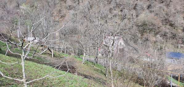 Земля в Сочи в Сочи фото 8