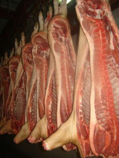 продаю свинину, говядину полутушами в Воронеже фото 4