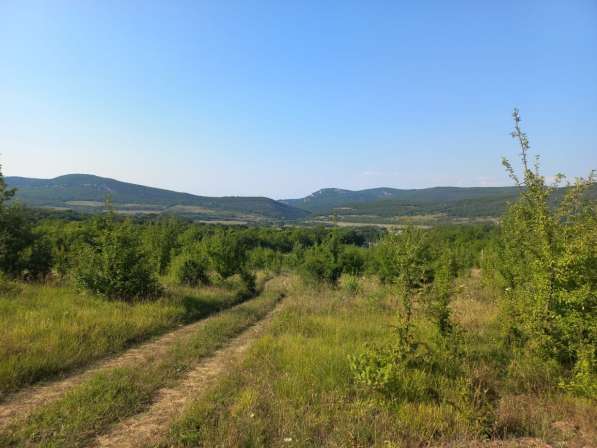 Участок коммерческого назначения 1 га