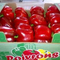 Гринполь-поставки свежих фруктов, овощей, грибов, орехов, в Москве