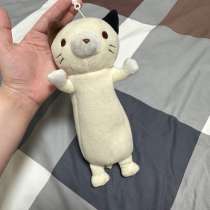 Пенал-котик, в Москве