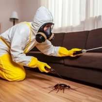 Дезинсекция, в Тюмени