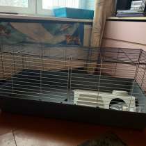 Большая клетка, в Санкт-Петербурге