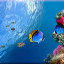 товары для дома и интерьера Магазин-Картин, в Самаре