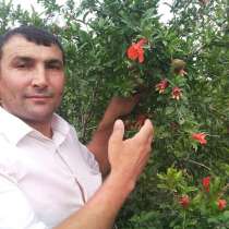 RAFO, 49 лет, хочет пообщаться, в г.Алматы